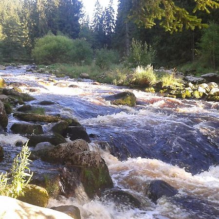 Apartmany U Ady Železná Ruda Zewnętrze zdjęcie